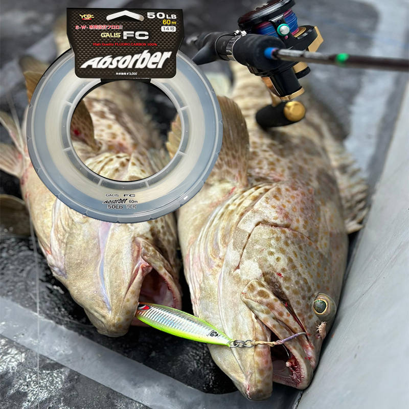 YGKFC Galis FC Absorber 100% F - Fluorocarbon Line のレビューと価格