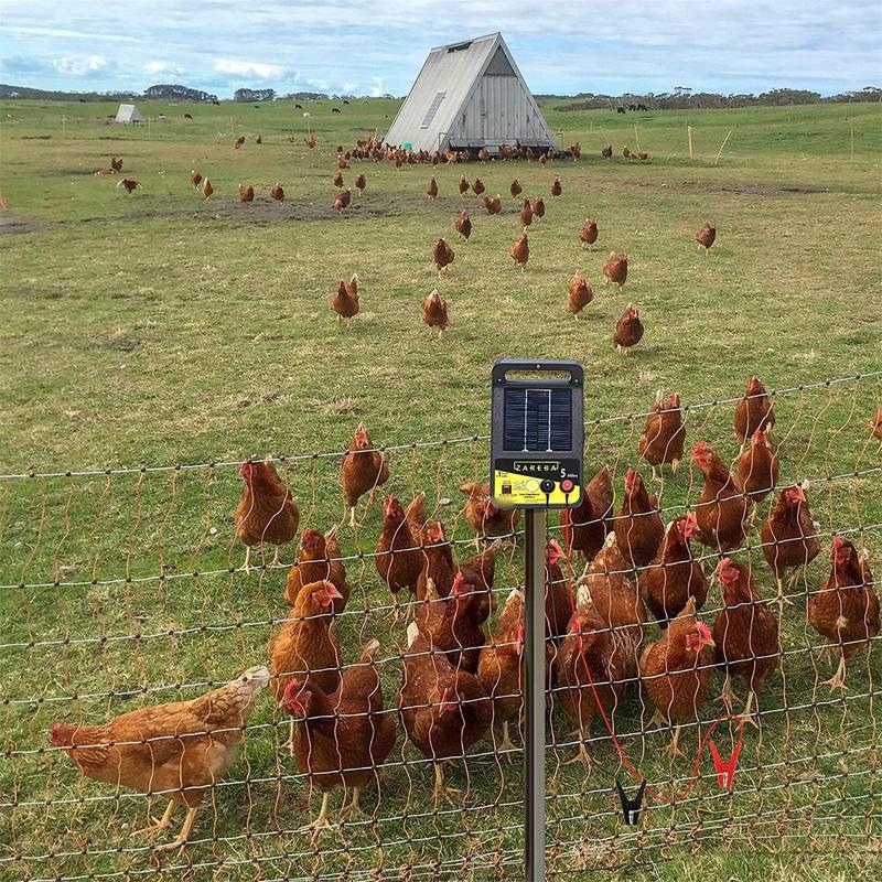 2pcs gardens Solar Fence Charg - Tippet Line のレビューと価格